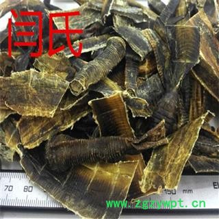 地龙 广地龙半开个 产地 海南省海口市龙华区图4