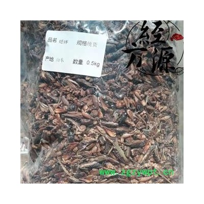 蟋蟀At 蛐蛐 夜鸣虫 将军虫 秋虫 统