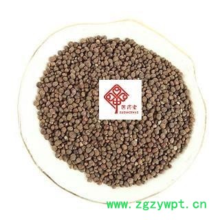 急性子 新货 国药堂 专注品质 产地 山东省图2