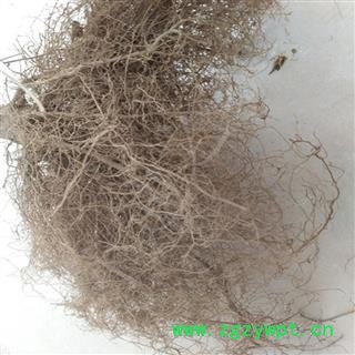 煜庭药业 葵花根、向日葵根 向阳花根、朝阳花根 返现进行中图2