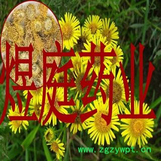 煜庭药业 旋复花 旋覆花 无污染图2