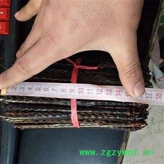 蜈蚣 蜈蚣大条17公分 产地 海外图4