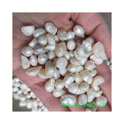 珍珠 新到珍珠中选货个头匀称货真价实 产地 山东省