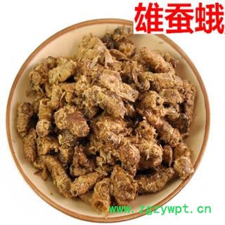 煜庭药业  原蚕蛾 雄蚕蛾图3