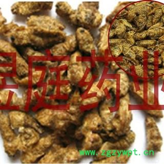 煜庭药业  原蚕蛾 雄蚕蛾图4