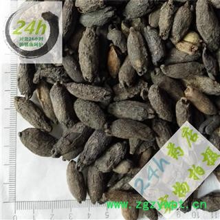 四海商联 母丁香 正品 特级正品 药用丁香 别称-鸡舌香 亭炅独生 雌丁香图2