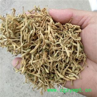 金银花 无硫   净货   产地 山东省图2