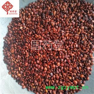 酸枣仁 炒枣仁 统 产地 海外 国药堂 专注品质图3