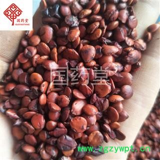 酸枣仁 炒枣仁 统 产地 海外 国药堂 专注品质图2