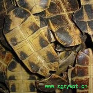 煜庭药业 龟甲 龟板 生龟板 正品图2