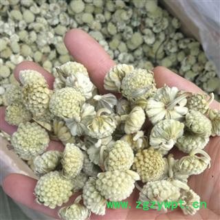 绿萝花   产地 西藏自治区图2