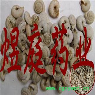 煜庭药业 山蜗牛 蜗牛 称俞 蜗赢 蜒蚰赢 土牛儿图3