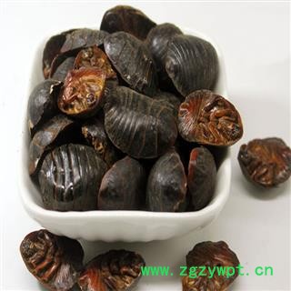 煜庭药业 土元 土鳖虫图2