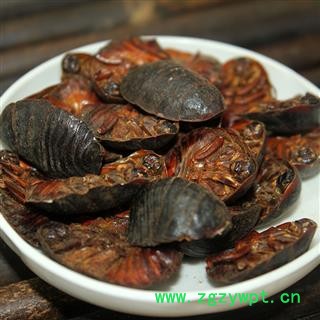 煜庭药业 土元 土鳖虫图4