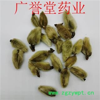 辛夷花 统 产地 河南省图2