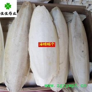 海螵蛸 选20-30公分 海螵蛸大个 产地 山东省图2