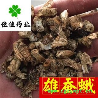 雄蚕蛾 雄蚕蛾好统货 批发各类中药材 冷背货 矿石等 产地 云南省图3