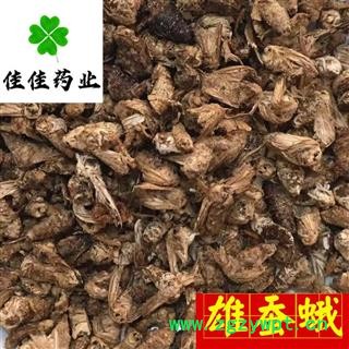 雄蚕蛾 雄蚕蛾好统货 批发各类中药材 冷背货 矿石等 产地 云南省图4