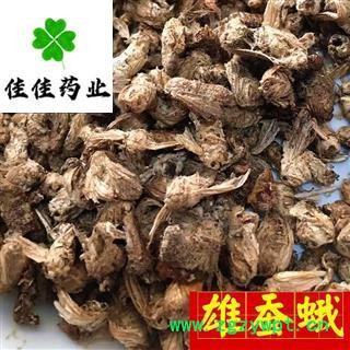 雄蚕蛾 雄蚕蛾好统货 批发各类中药材 冷背货 矿石等 产地 云南省图2