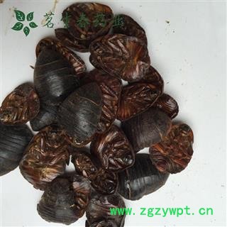 亳州花田错药业一支持打粉，土鳖虫 物美价廉  不满意包退图2