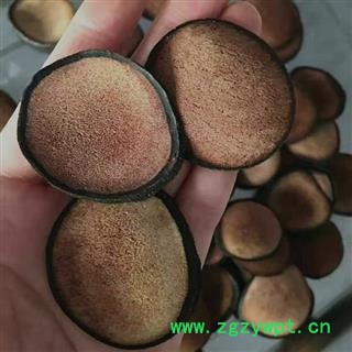 鹿茸 精品鹿茸头刀全粉 产地 吉林省白山市抚松县图2