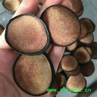 鹿茸 精品鹿茸头刀全粉 产地 吉林省白山市抚松县