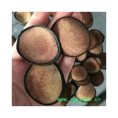 鹿茸 精品鹿茸头刀全粉 产地 吉林省白山市抚松县