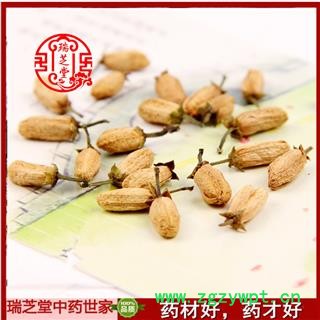 玳玳花统货 江苏玳玳花 药典正品 中材药 瑞芝堂产地直供1000克 规格齐全 一站购齐图3