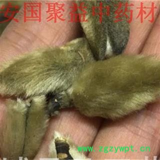 辛夷 有梗辛夷花 产地 河南省图2