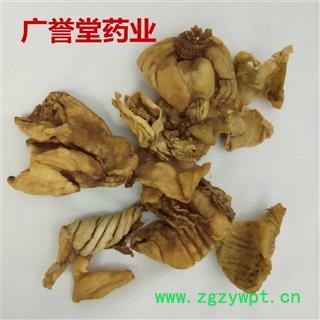 炒鸡内金 鸡内金黄色统货 河北 产地 河北省图4