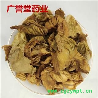 炒鸡内金 鸡内金黄色统货 河北 产地 河北省图2