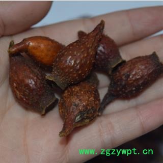 新辉药业正品金樱子  优质新货图2