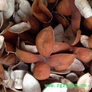 新辉药业优质正品陈皮 橙皮  优质新货图2