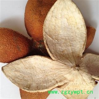 新辉药业优质正品陈皮 橙皮  优质新货图3