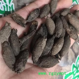 新辉药业正品母丁香 鸡舌香图2