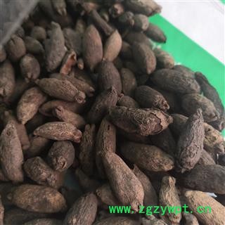 新辉药业正品母丁香 鸡舌香图3