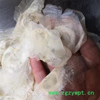 新辉药业中药材千层纸 木蝴蝶 优质选货图2