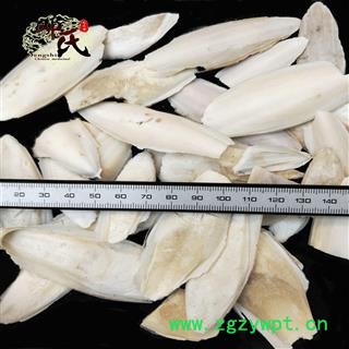 【满包邮】海螵蛸 海蛸 乌贼骨 水洗统货 优选品质 产地直供 邓氏尚品中药批发图2