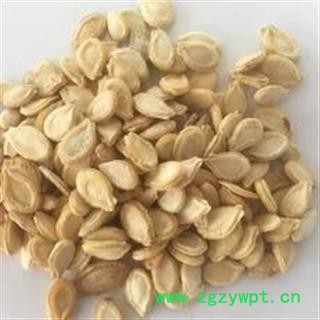 新辉药业正品优质冬瓜子 单边 双边齐全图2