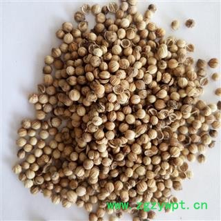 新辉药业正品调料香菜籽 优质新货图2