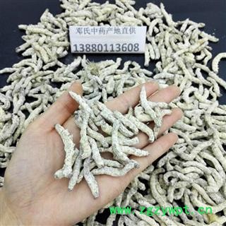 僵蚕 僵蚕 选货 产地 四川省成都市市辖区 邓氏图3