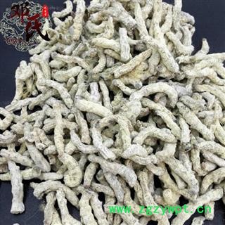 僵蚕 僵蚕 选货 产地 四川省成都市市辖区 邓氏图2