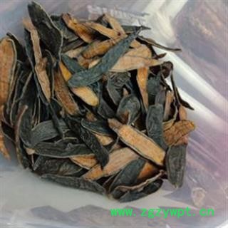 水蛭 清水货选装 产地 江苏省图3