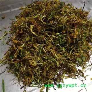 金银花开花统货 产地 广西壮族自治区南宁市上林县 马上县图4