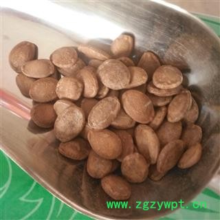新辉药业南瓜子 瓜米 正品栝楼仁图2