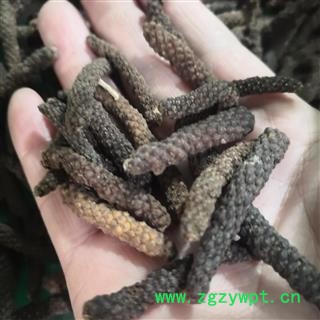 新辉药业中药材荜拨 火锅涮锅香料荜拨图2