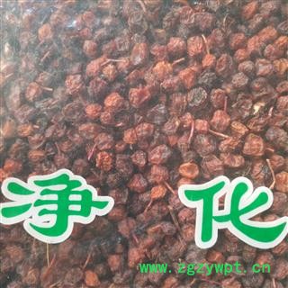 新辉药业五味子 南五味 西五味图2