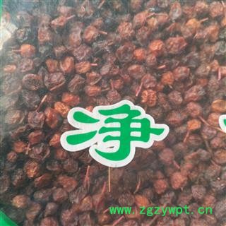 新辉药业五味子 南五味 西五味图3