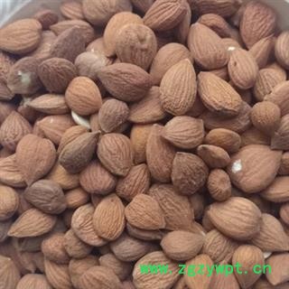 新辉药业杏仁 甜杏仁  苦杏仁  另有桃仁图2