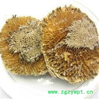 新辉药业正品中药材 向日葵花盘 统 产地 河北图2